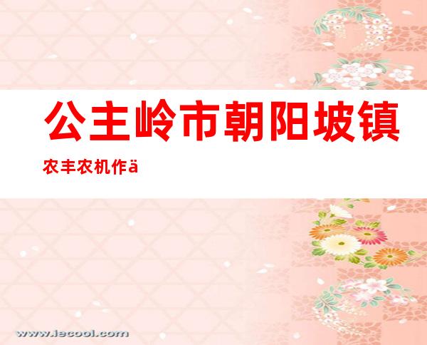 公主岭市朝阳坡镇农丰农机作业服务专业合作社