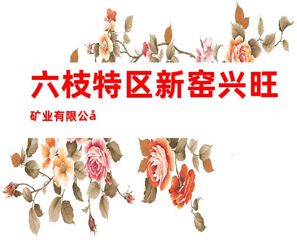 六枝特区新窑兴旺矿业有限公司