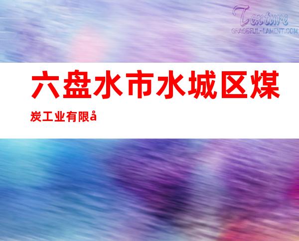 六盘水市水城区煤炭工业有限公司
