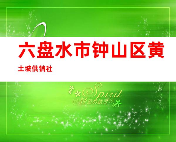 六盘水市钟山区黄土坡供销社