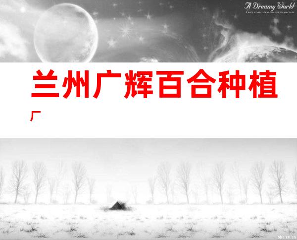 兰州广辉百合种植厂
