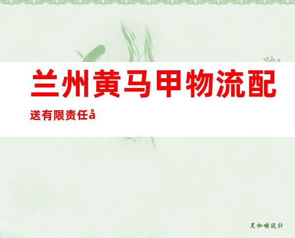 兰州黄马甲物流配送有限责任公司
