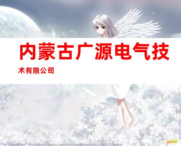 内蒙古广源电气技术有限公司