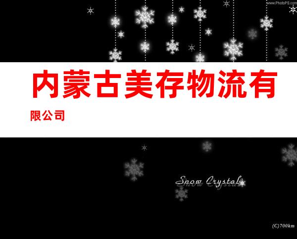 内蒙古美存物流有限公司