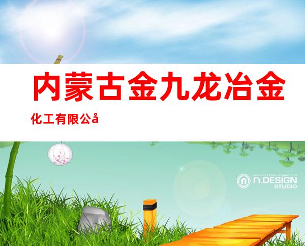 内蒙古金九龙冶金化工有限公司