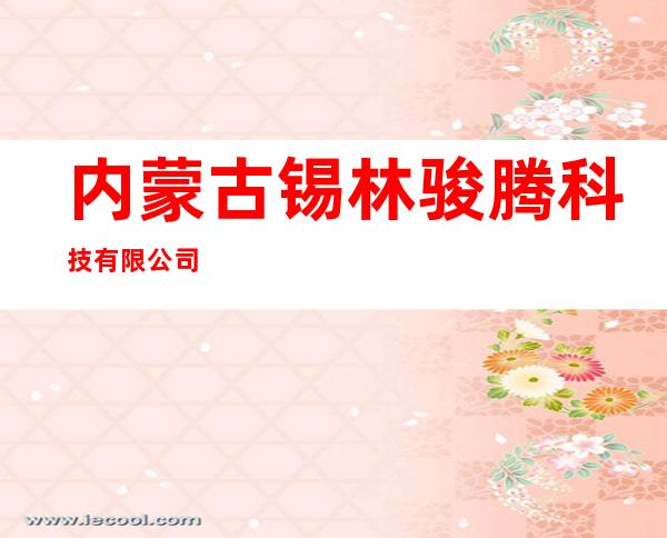 内蒙古锡林骏腾科技有限公司