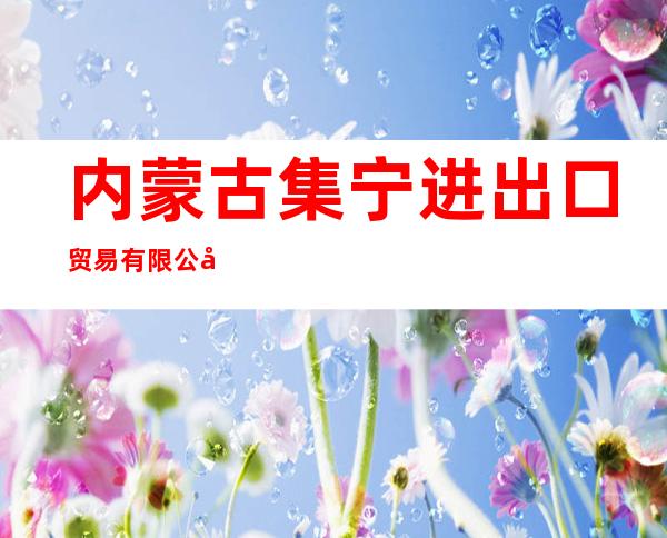 内蒙古集宁进出口贸易有限公司