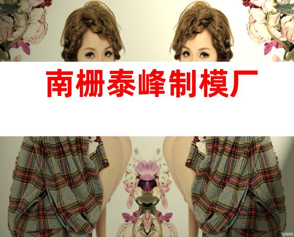 南栅泰峰制模厂