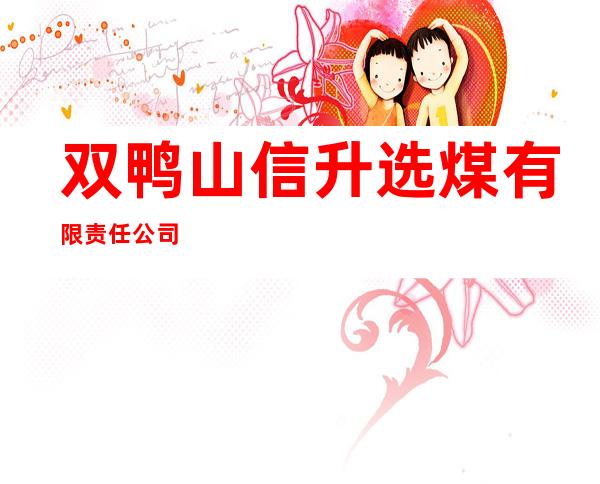 双鸭山信升选煤有限责任公司