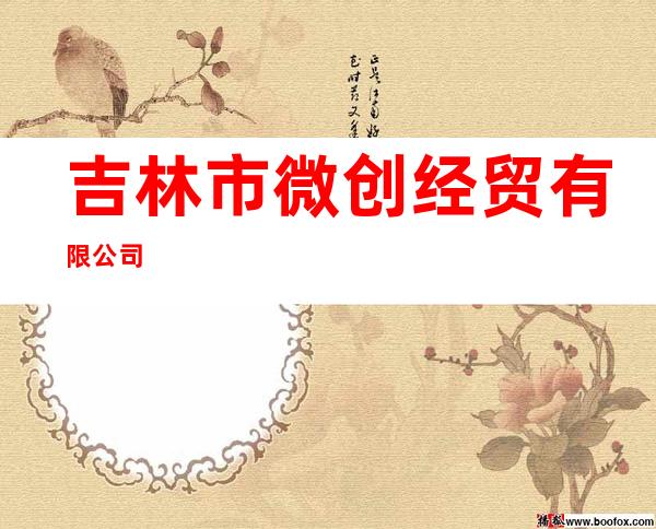 吉林市微创经贸有限公司