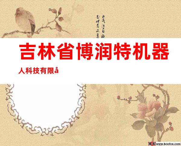 吉林省博润特机器人科技有限公司