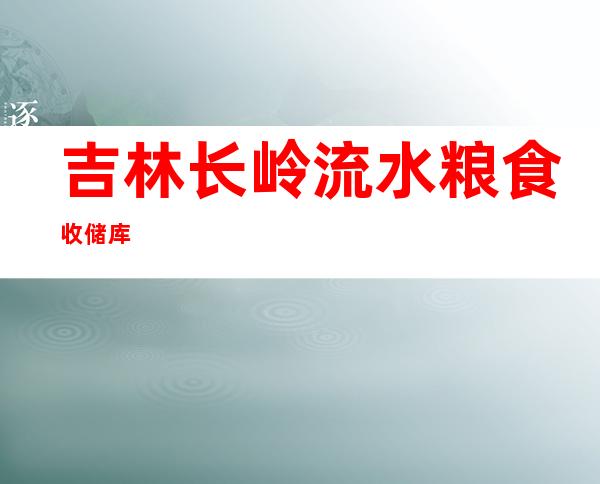 吉林长岭流水粮食收储库