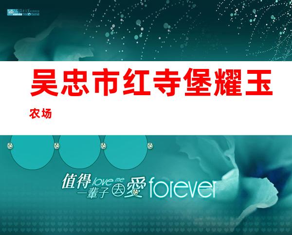 吴忠市红寺堡耀玉农场