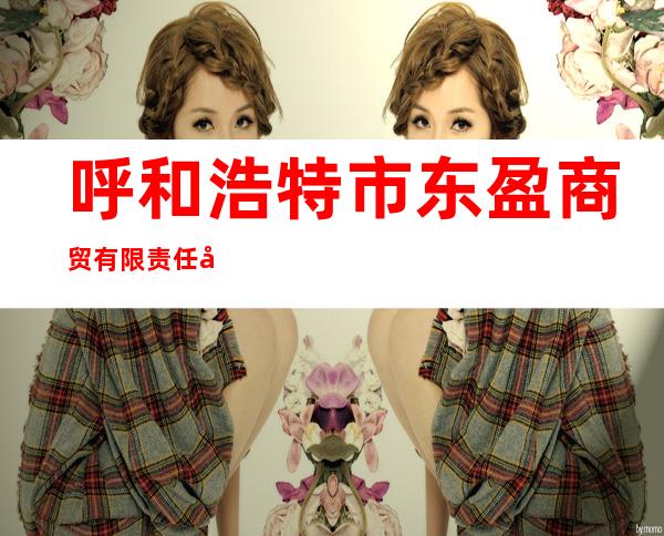 呼和浩特市东盈商贸有限责任公司