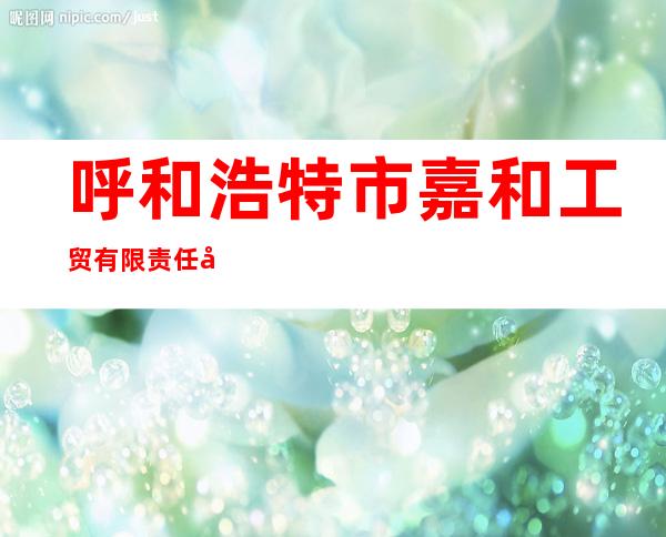 呼和浩特市嘉和工贸有限责任公司