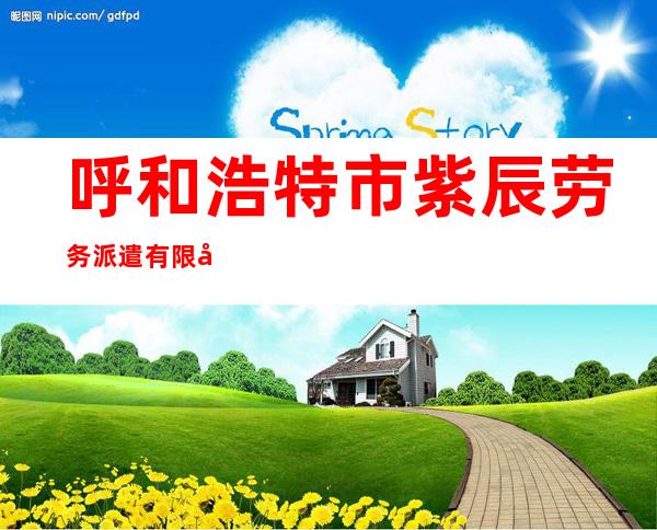 呼和浩特市紫辰劳务派遣有限公司