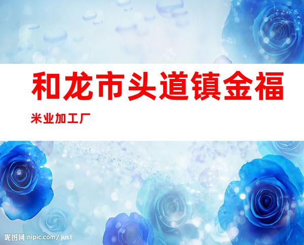 和龙市头道镇金福米业加工厂
