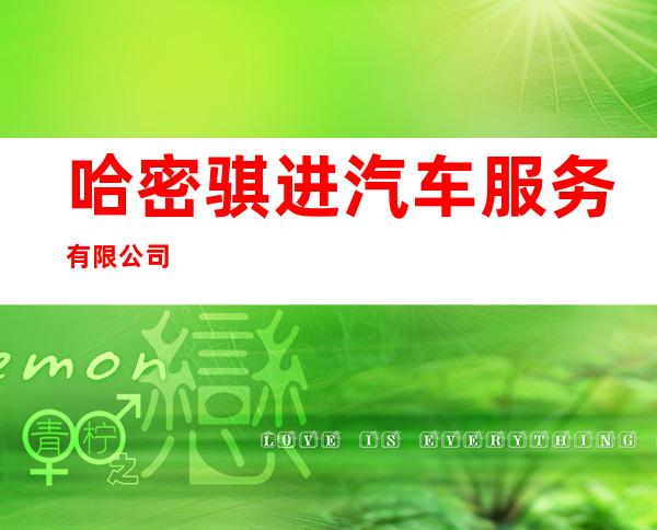 哈密骐进汽车服务有限公司