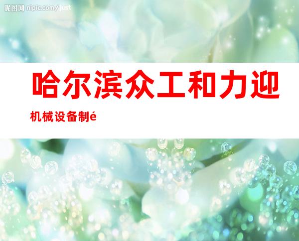哈尔滨众工和力迎机械设备制造有限公司