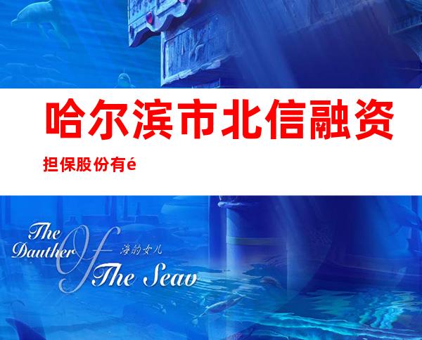 哈尔滨市北信融资担保股份有限公司