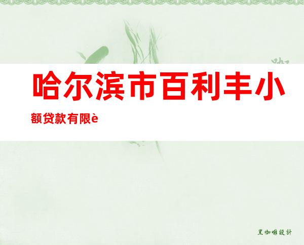 哈尔滨市百利丰小额贷款有限责任公司