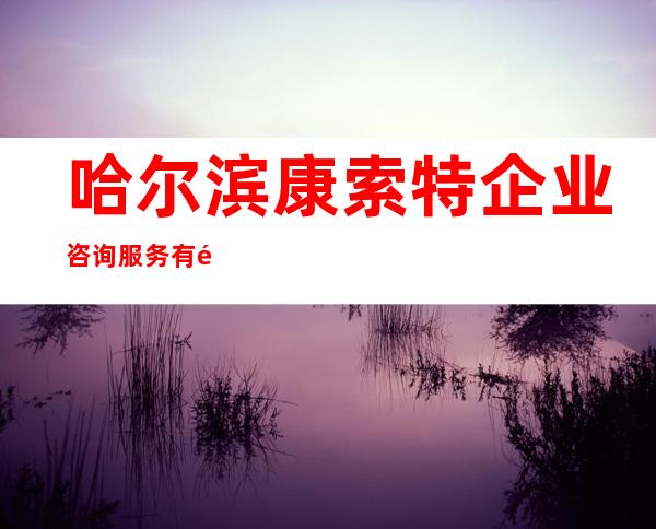 哈尔滨康索特企业咨询服务有限公司