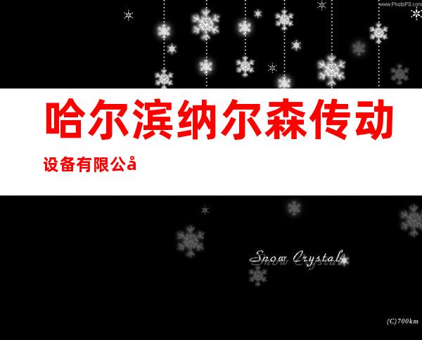 哈尔滨纳尔森传动设备有限公司