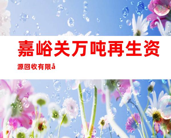 嘉峪关万吨再生资源回收有限公司