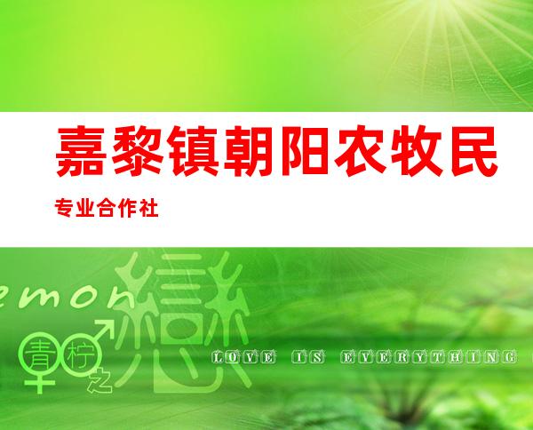 嘉黎镇朝阳农牧民专业合作社