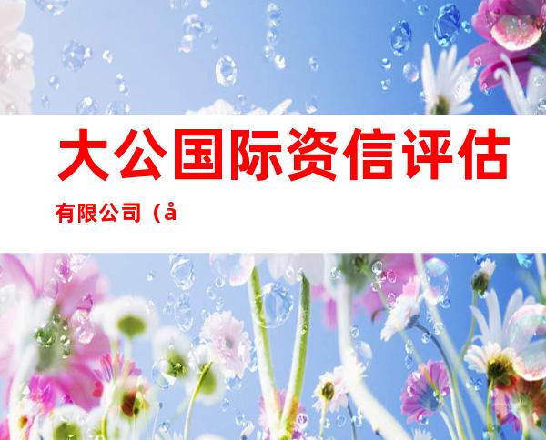 大公国际资信评估有限公司(广州分公司)