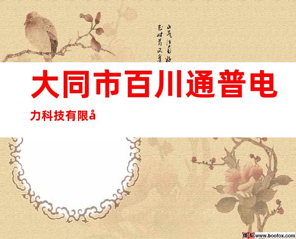 大同市百川通普电力科技有限公司