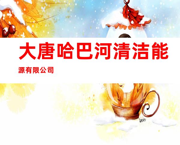 大唐哈巴河清洁能源有限公司