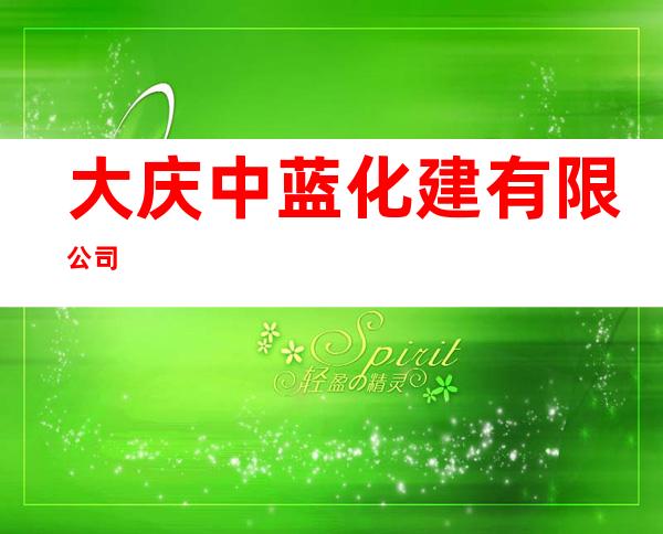 大庆中蓝化建有限公司