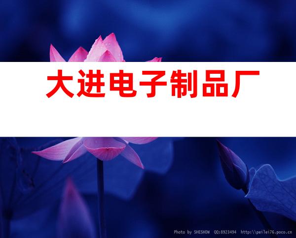 大进电子制品厂