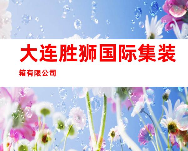 大连胜狮国际集装箱有限公司