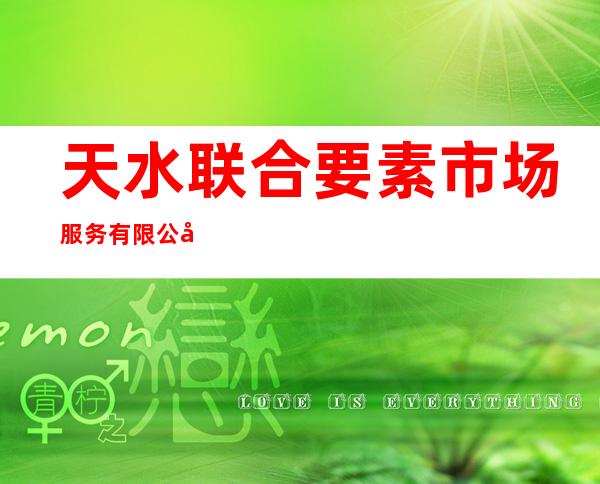 天水联合要素市场服务有限公司