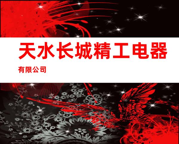 天水长城精工电器有限公司