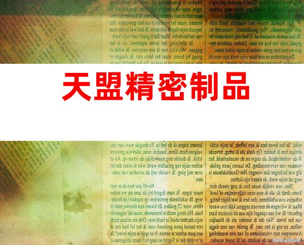 天盟精密制品