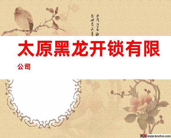 太原黑龙开锁有限公司