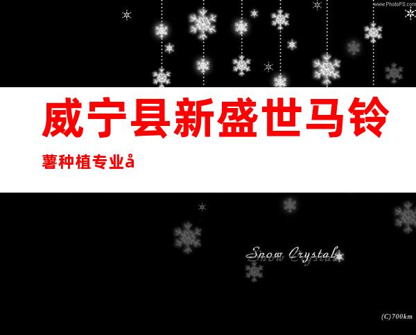 威宁县新盛世马铃薯种植专业合作社