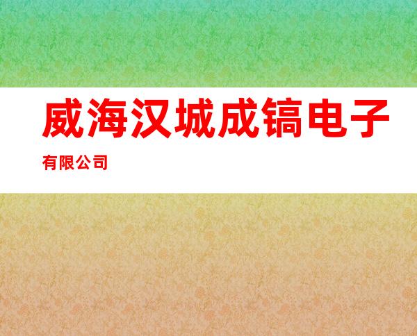 威海汉城成镐电子有限公司