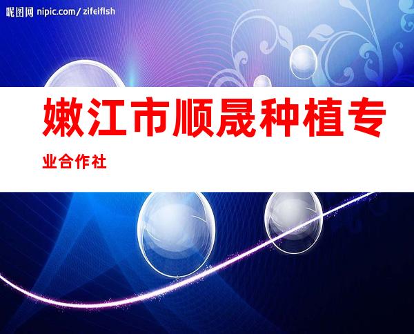 嫩江市顺晟种植专业合作社