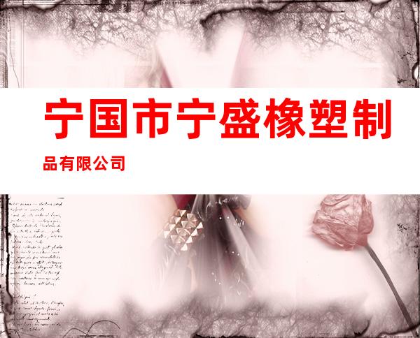 宁国市宁盛橡塑制品有限公司