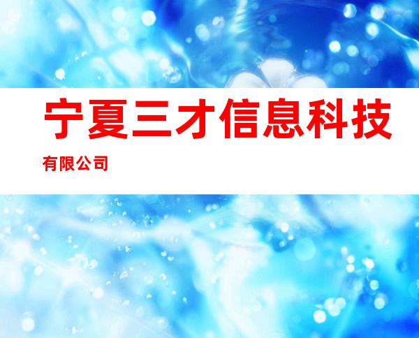 宁夏三才信息科技有限公司