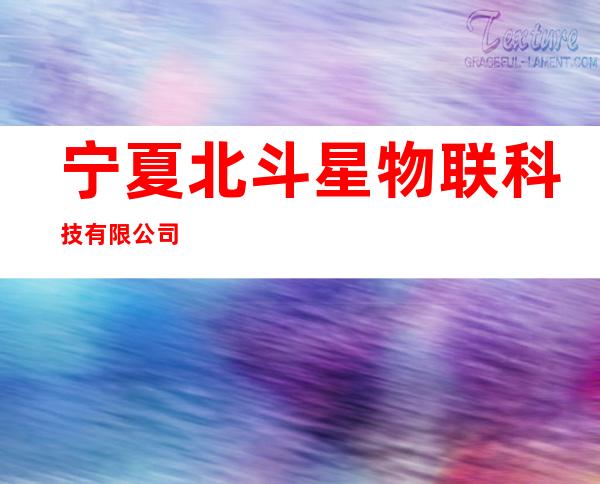 宁夏北斗星物联科技有限公司
