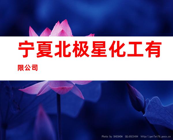 宁夏北极星化工有限公司