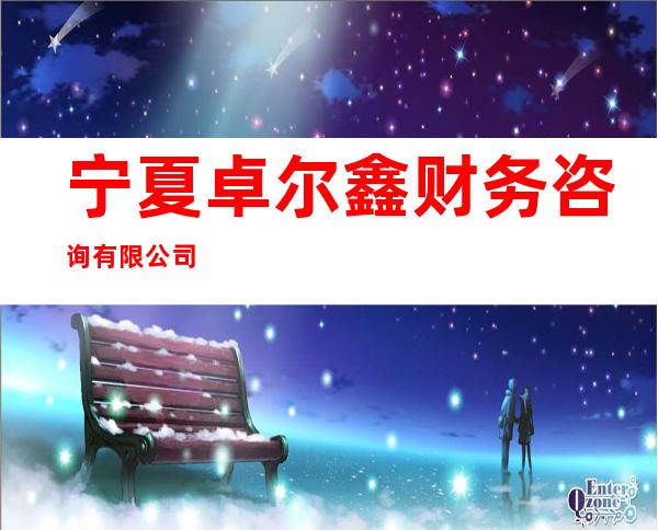 宁夏卓尔鑫财务咨询有限公司