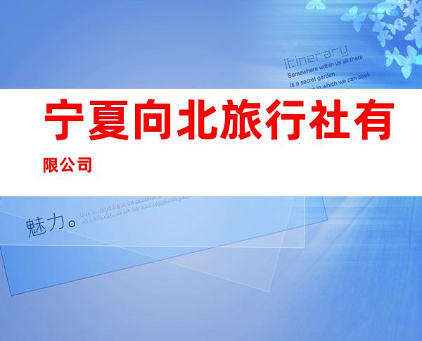 宁夏向北旅行社有限公司