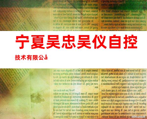 宁夏吴忠吴仪自控技术有限公司