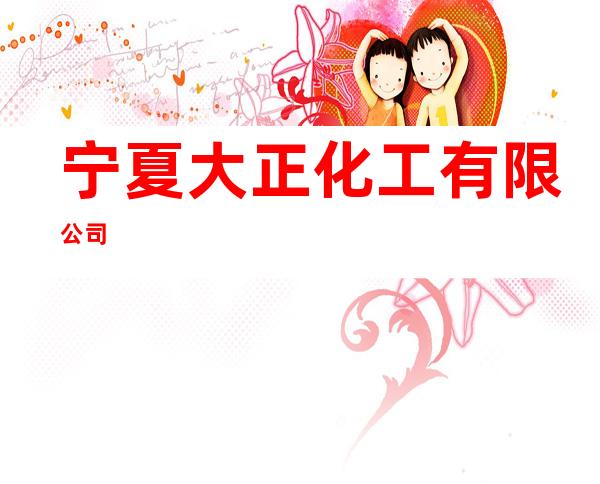 宁夏大正化工有限公司